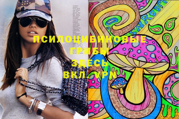 мяу мяу мука Елизово