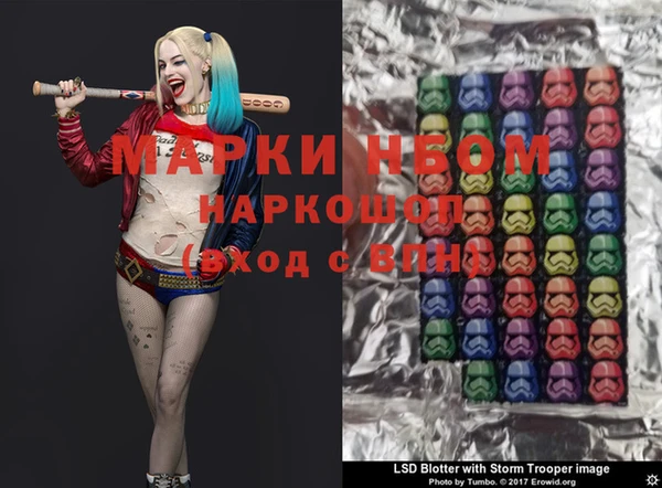 стафф Дмитров