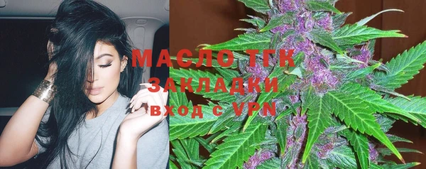 прущая мука Дмитриев