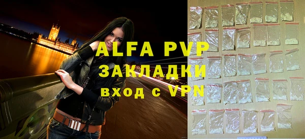 стафф Дмитров