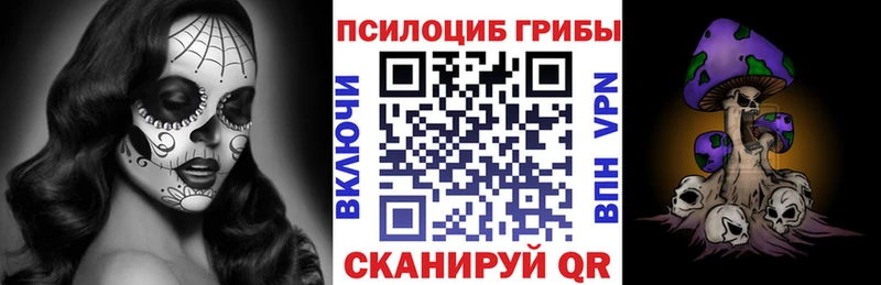Псилоцибиновые грибы GOLDEN TEACHER  Купить  Кизляр 
